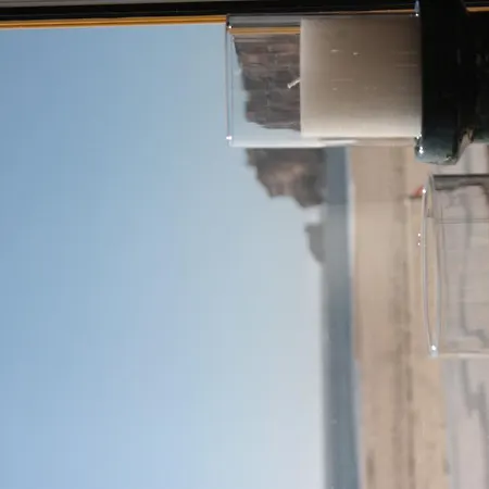 里巴马酒店 酒店